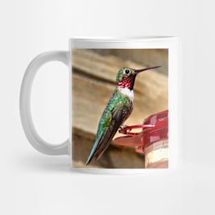 Hummingbird Mug